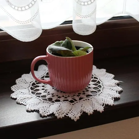 Rekreacny Dom Za Potokom